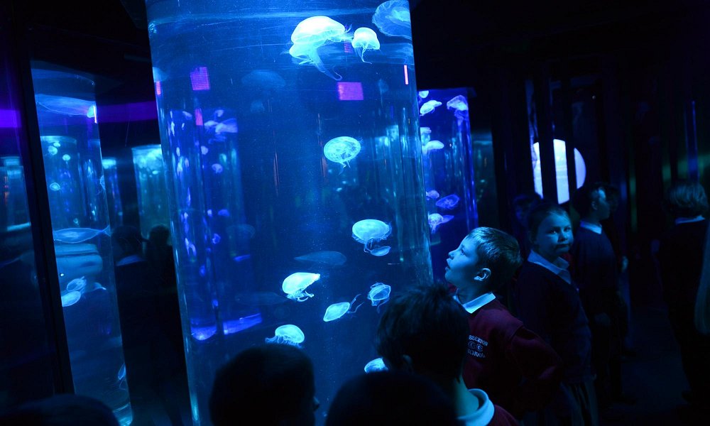 National SEA LIFE Centre
