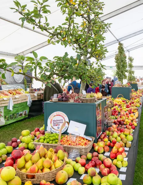 Malvern Autumn Show