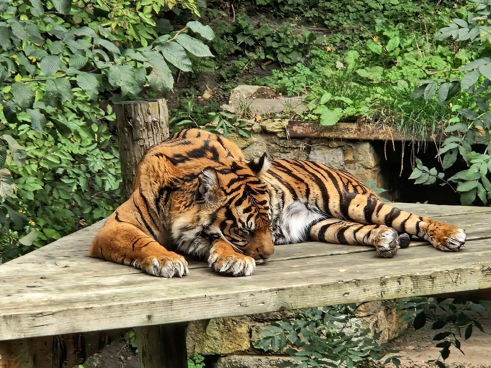 Discover Dudley: A Historic Town Perfect for a Relaxing Stay